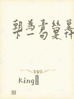 朝为青丝暮为雪下一句是什么封面