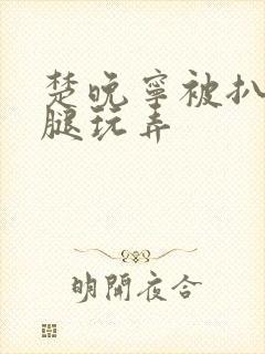 楚晚宁被扒开双腿玩弄