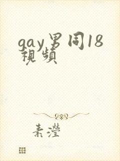 gay男同18视频封面