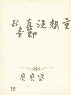 我真没想重生啊 章节