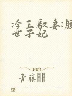 冷王驭妻:腹黑世子妃