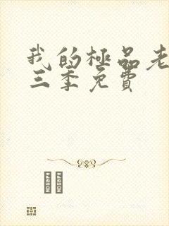 我的极品老婆第三季免费封面