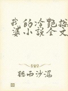 我的冷艳总裁老婆小说全文阅读