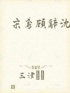 宋鸢顾辞沈煜安封面