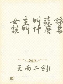 女主叫苏锦的小说叫什么名字