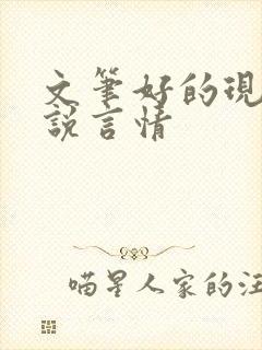 文笔好的现代小说言情