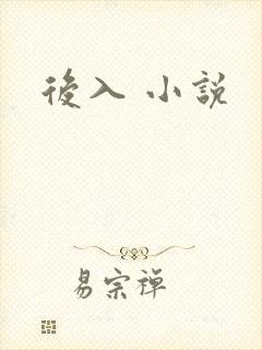 后入 小说