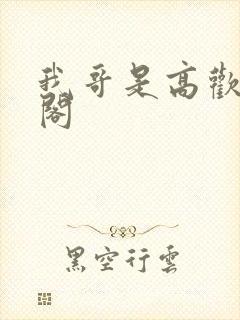 我哥是高欢笔趣阁