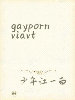 gaypornviavt
