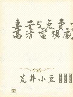 妻子5免费完整高清电视剧在线封面