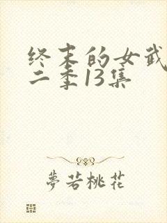 终末的女武神第二季13集