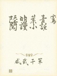 陆明叶青鸾免费阅读小说封面