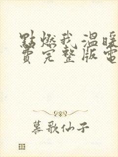 点燃我温暖你免费完整版电视剧高清封面