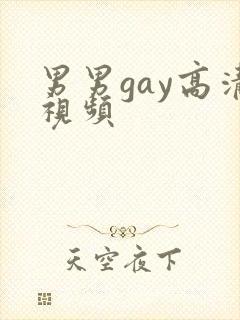 男男gay高清视频