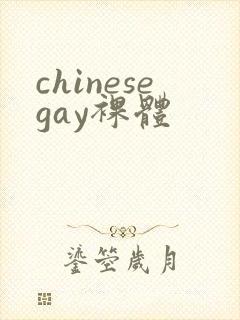 chinesegay裸体