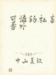 可怜的社畜实体番外