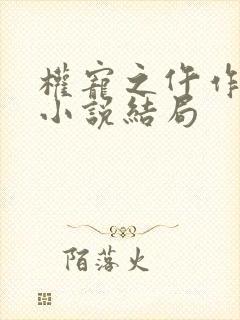 权宠之仵作医妃小说结局封面