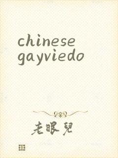 chinesegayviedo