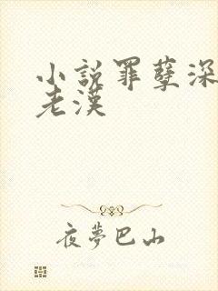 小说罪孽深重王老汉