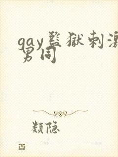 gay监狱刺激男同封面