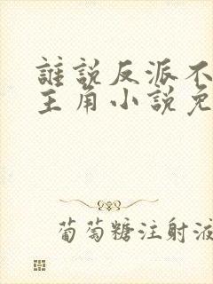 谁说反派不能当主角小说免费阅读