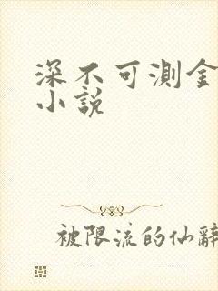 深不可测金银花小说