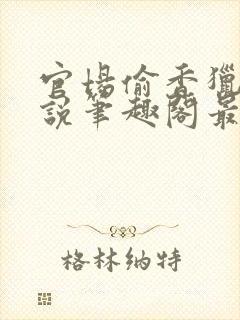 官场偷香猎艳小说笔趣阁最新章节列表封面