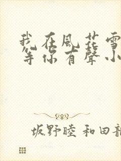 我在风花雪月里等你有声小说全集