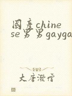 国产chinese男男gaygay视频网站