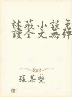 林薇小说免费阅读全文无弹窗