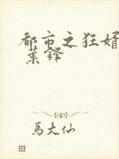 都市之狂婿战神 叶锋