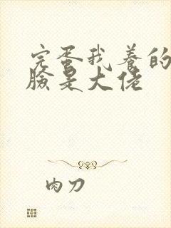 完蛋我养的小白脸是大佬