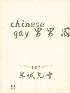 chinese gay 男男 国产