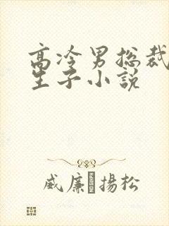 高冷男总裁怀崽生子小说