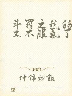 斗罗之我的系统又不服气了小说网