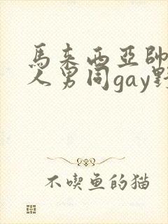 马来西亚帅哥黑人男同gay野外手淫射精