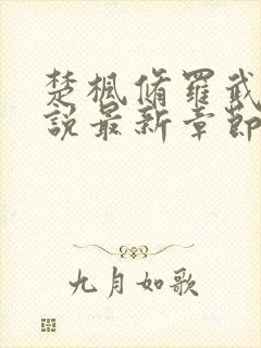 楚枫修罗武神小说最新章节