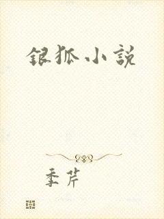 银狐小说