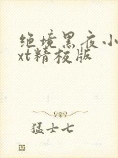 绝境黑夜小说txt精校版