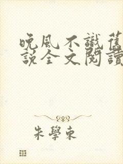 晚风不识旧时小说全文阅读