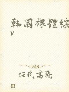 韩国裸体综艺av封面