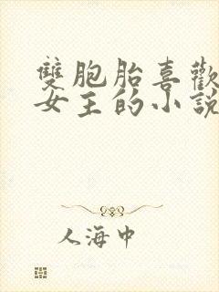 双胞胎喜欢一个女主的小说