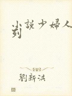 小说少妇人妻系列