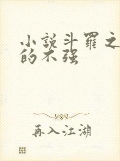 小说斗罗之我真的不强