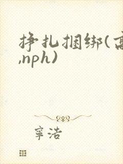 挣扎捆绑(高h,nph)