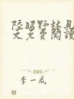 陆昭野林见疏全文免费阅读封面
