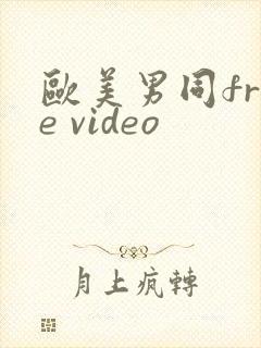 欧美男同free video封面