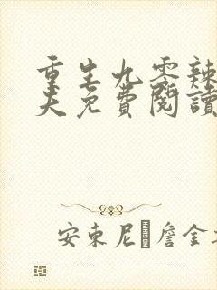 重生九零辣妻追夫免费阅读封面