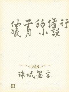 仙子的修行 萧曦月 小说