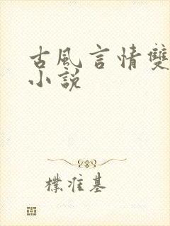 古风言情双男主小说